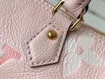 Louis Vuitton Papillon BB
