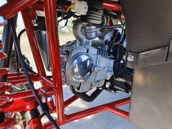 Квадроцикл PROMAX WILD 175 BASIC