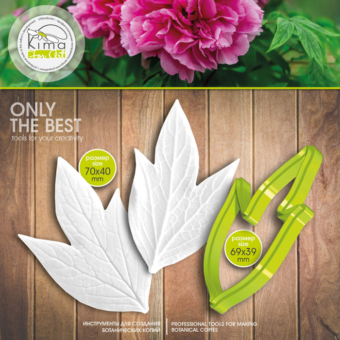 Пион древовидный лист большой