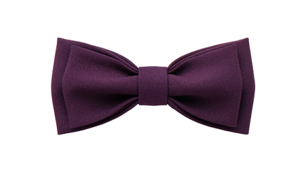 Однотонный галстук - бабочка (баклажановый)