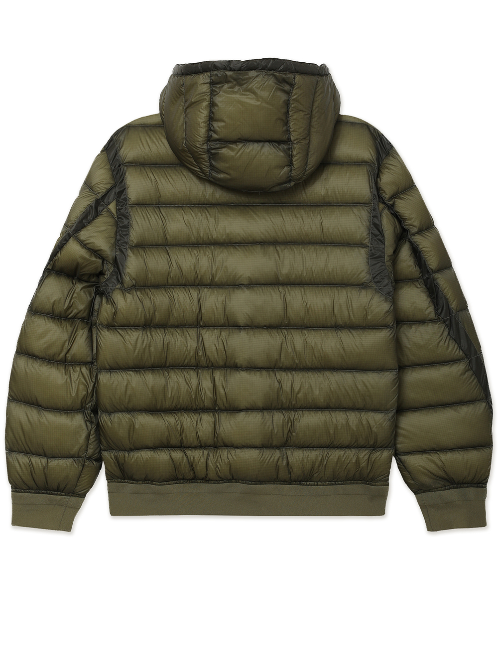 Мужской Пуховик In Dd-shell