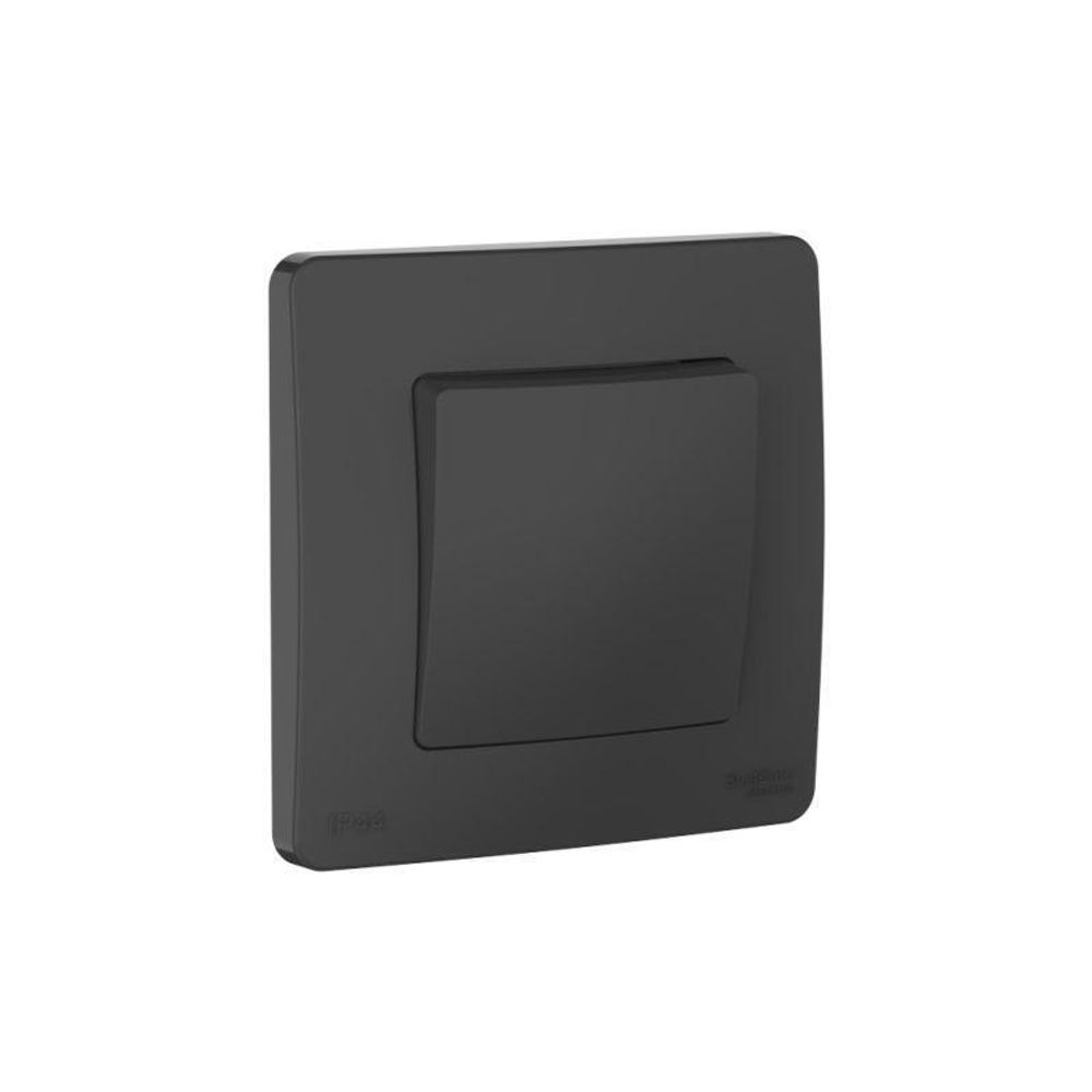 Переключатель 1-кл. СП Blanca 10А IP44 (сх.6) 250В антрацит SE BLNVS410606