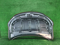 Капот Geely Coolray (2019-2023) (В пленке)