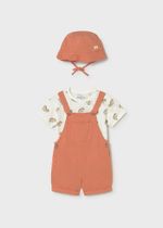 комбинезон с футболкой и панамкой