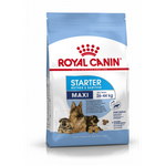 Royal Canin Maxi Starter Макси Стартер мазэ энд бэбидог Корм для щенков крупных пород до 2-х месяцев беременных и кормящих собак 4кг