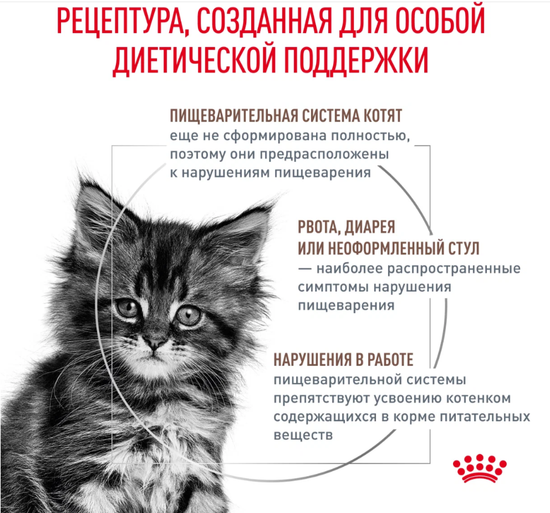 Royal Canin GASTROINTESTINAL KITTEN сухой корм полнорационный диетический для котят в возрасте от 2 до 10 месяцев при нарушениях пищеварения
