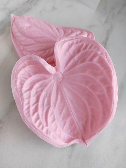 Антуриум XXL