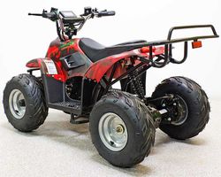 Квадроцикл GreenCamel Гоби K70 (36V 800W R7 Дифференциал) быстросъем