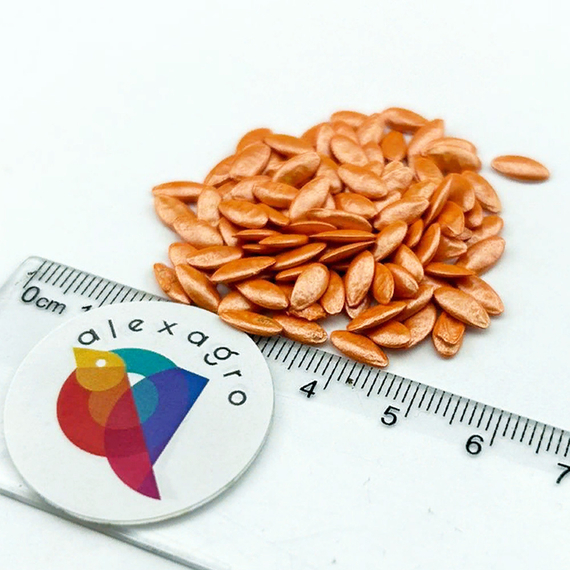 НЕЙЛИНА F1 семена огурца Nunhems цена – фото 5