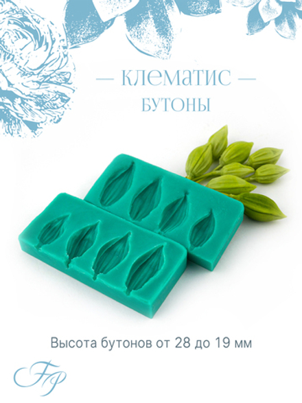 Клематис бутоны