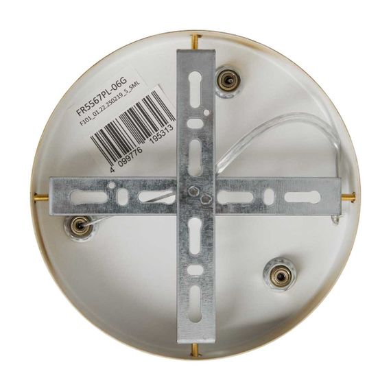 Подвесная люстра Freya Modern Bless FR5567PL-06G