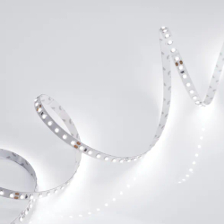 Светодиодная лента RT 2-5000 24V White6000 2x (3528, 600 LED, LUX) (Arlight, 9.6 Вт/м, IP20) 010347(B)