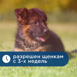 Таблетки против гельминтов Мильбемакс глистогон для кошек до 2кг и котят