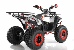 Квадроцикл Wels Evo X2 200cc