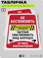 Табличка для частной территории "Не беспокоить, частная собственность", на дом, для участка, организаций, предупреждающая, 40х30 см, Silver Plane x Айдентика Технолоджи