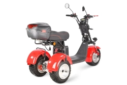 Электротрицикл WHITE SIBERIA Ikra 5000W