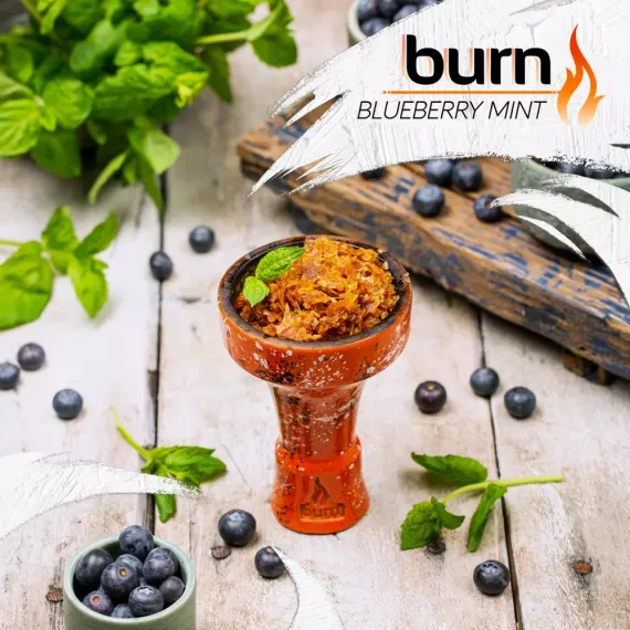 Burn - Blueberry Mint (100г)