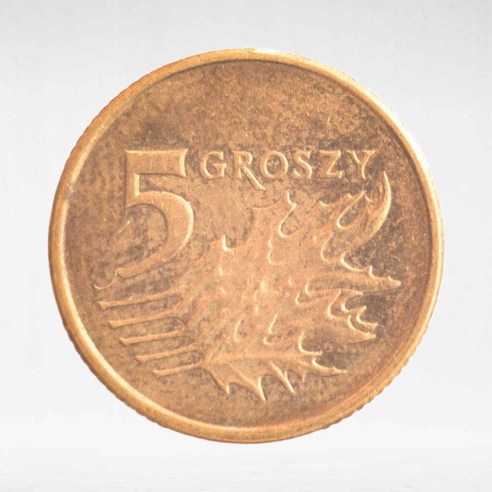 Poland, 5 Groszy, 2009, VF