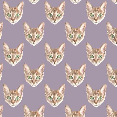 Коты акварельные, фиолетовый, сиреневый фон