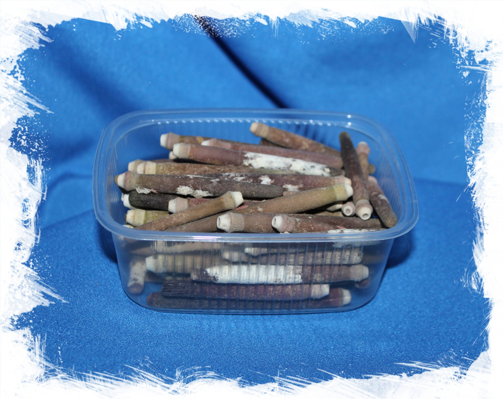 Иглы морского ежа, 3-7см, 100гр, 60шт