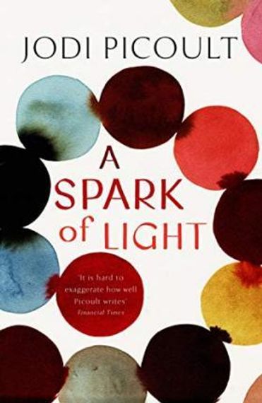 A Spark of Light : from the author everyone should be reading