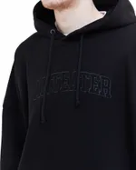 Худи Anteater Text черный