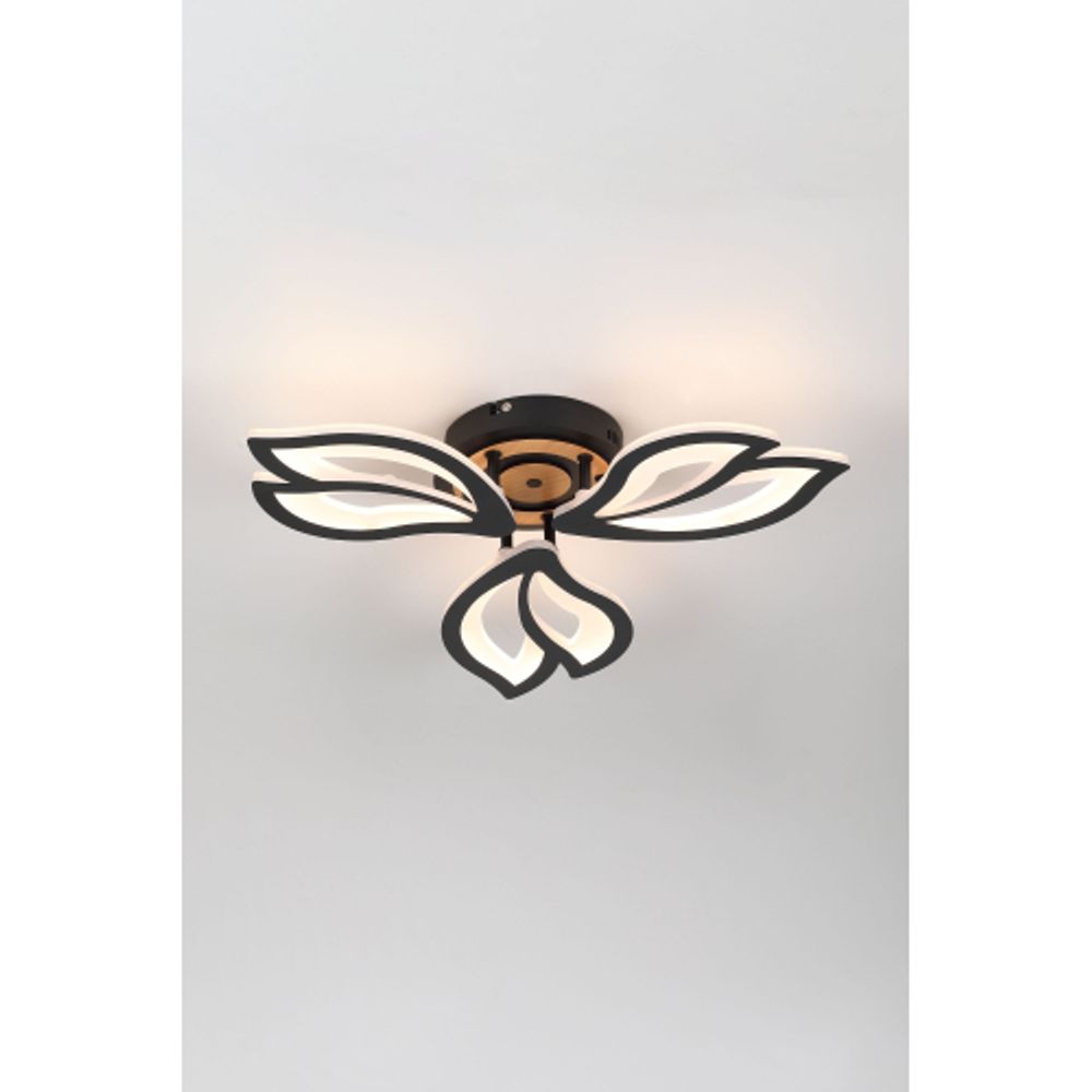 Светильник потолочный светодиодный Rivoli Lana 6195-703 LED 3000-6250К 60 Вт с пультом | Rivoli