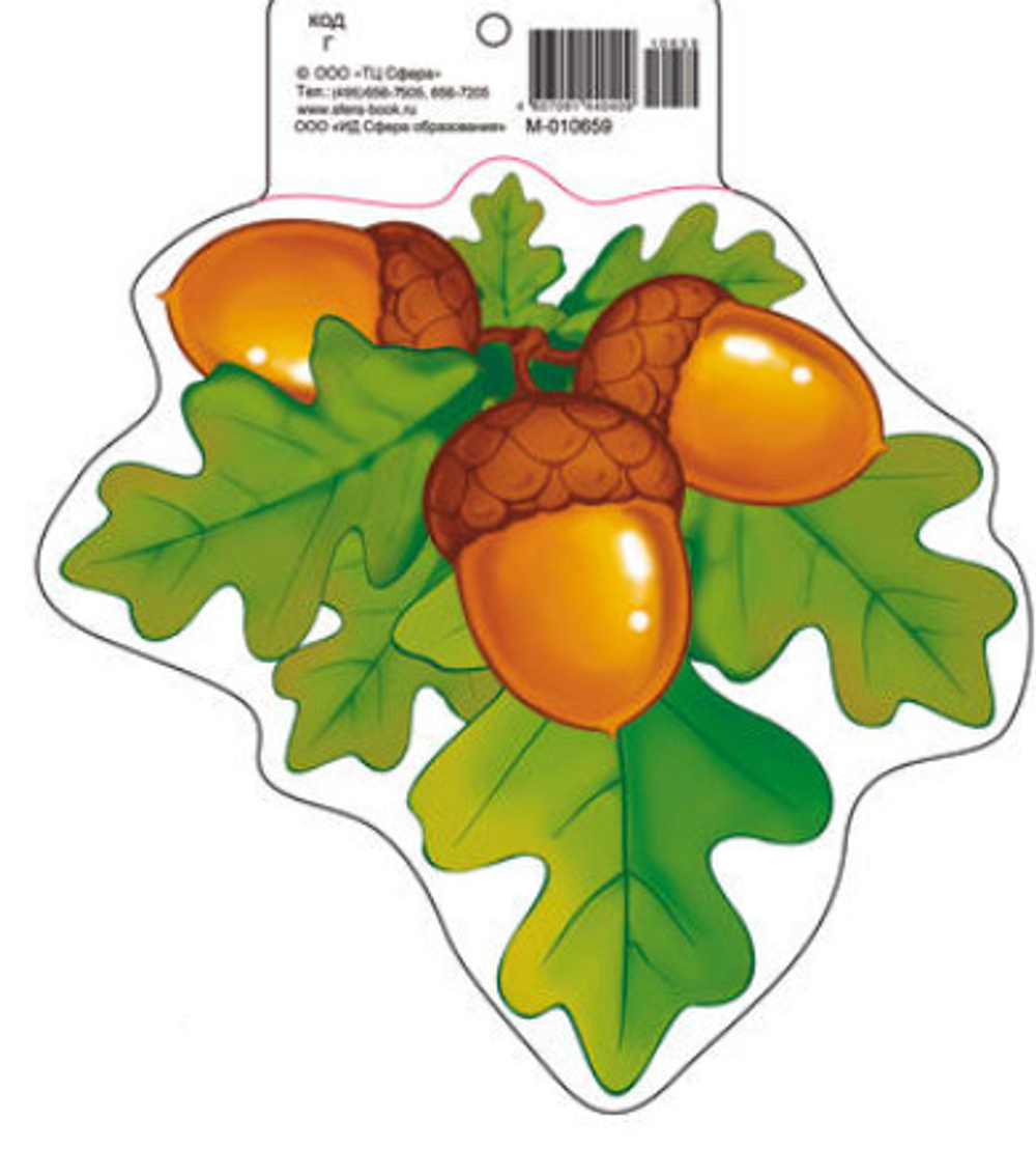 Мини открытка. Желуди. М-10659.