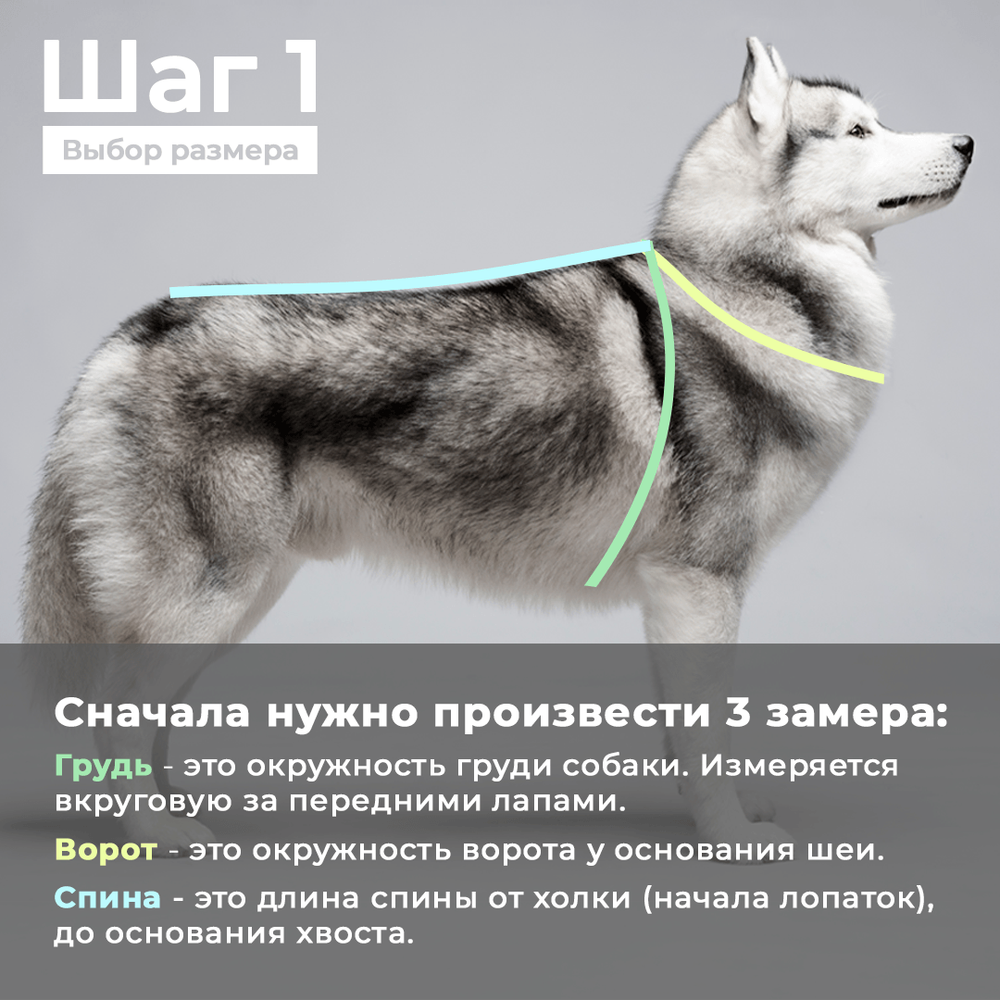 Комбинезон дождевик для собак демисезонный White Wolf вырез на девочку бирюзово-черный