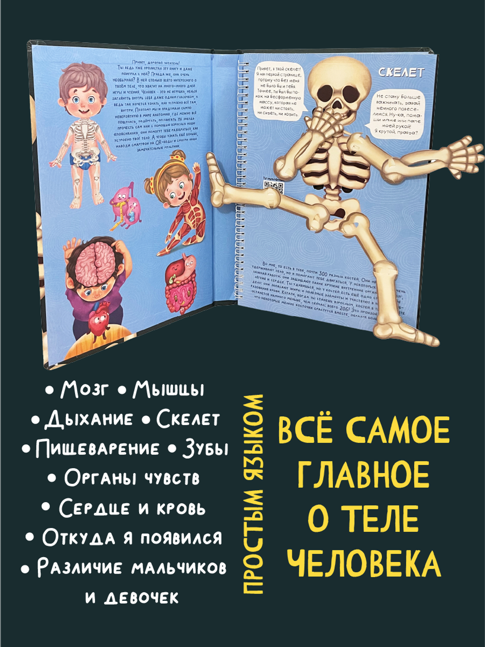Интерактивная энциклопедия. Знакомься: твое тело