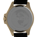 Мужские наручные часы Timex TW2V42200