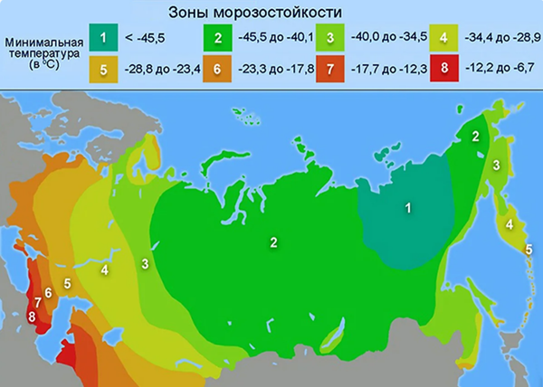 Что такое районированный сорт и почему мы в «Саду Абраменко» делаем на них особый акцент? Что такое районированный сорт и почему мы в «Саду Абраменко» делаем на них особый акцент?
