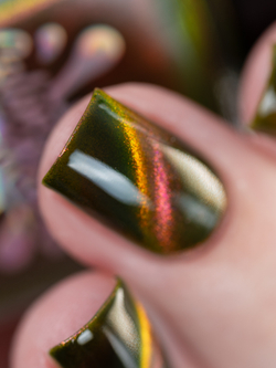 LudochkaT - Болотная Ягода