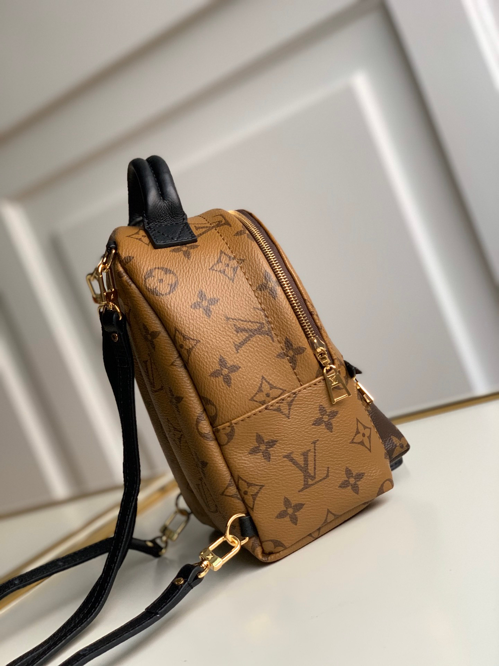 Louis Vuitton Palm Springs Mini