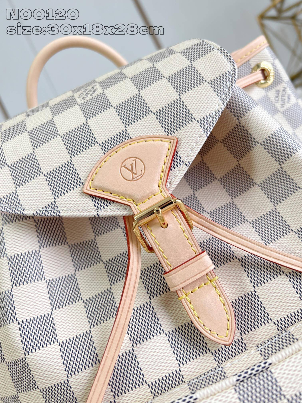 Louis Vuitton Montsouris Backpack PM