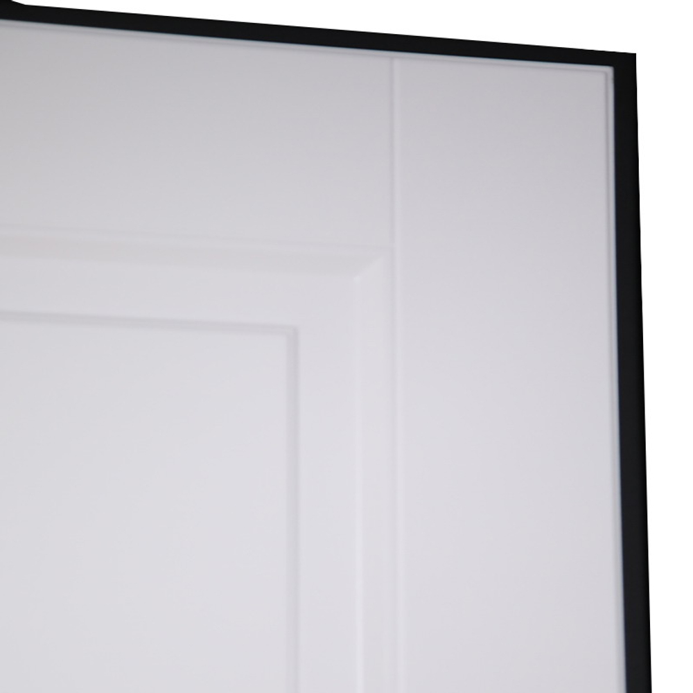 Стальная дверь "Сапсан" (биометрический замок Y23)