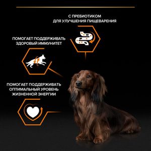 Пауч Pro Plan Everyday Nutrition для собак мелких и карликовых пород, с уткой в соусе