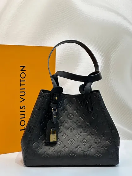 Сумка Louis Vuitton All In One PM