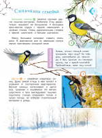 Энциклопедия для мальчиков и девочек. Наша природа