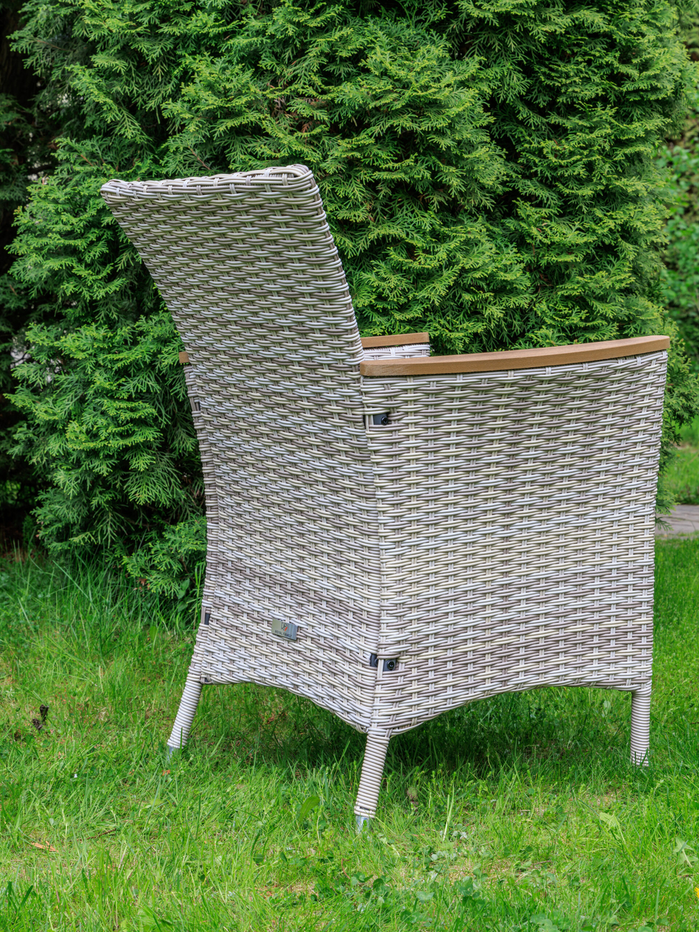 Обеденное кресло ROYAL FAMILY AMELIA бежевое