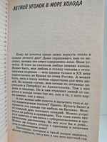 Зимний сад в вашей квартире