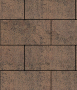 Тротуарная плитка ВЫБОР, форма Прямоугольник 600*300, h=80мм