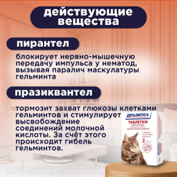 Таблетки от гельминтов для кошек Празител, 2 таб. Празиквантел/Пирантел