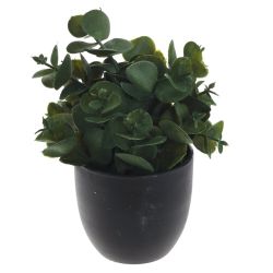 GAEM Цветочная композиция, L8 W8 H14 см