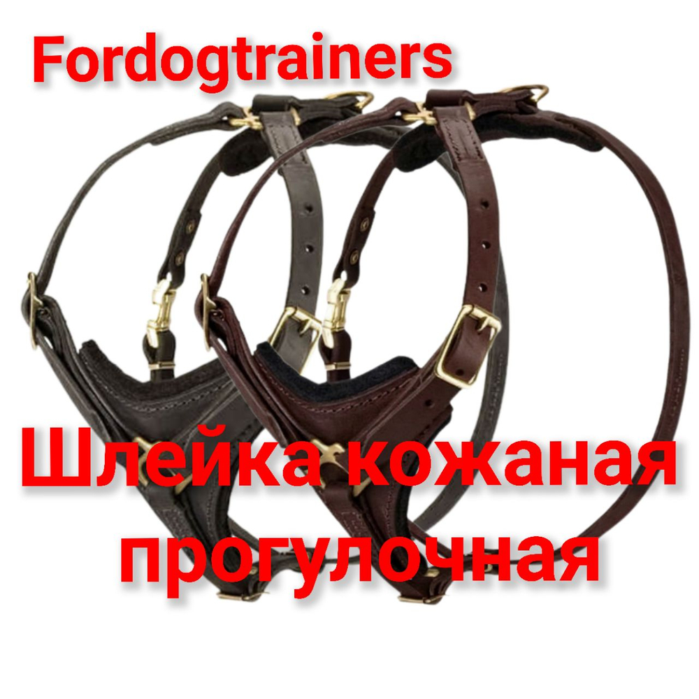 ШЛЕЙКА КОЖАНАЯ ПРОГУЛОЧНАЯ Fordogtrainers