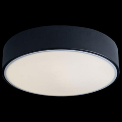 Накладной светильник Loft it 10002/12 Black