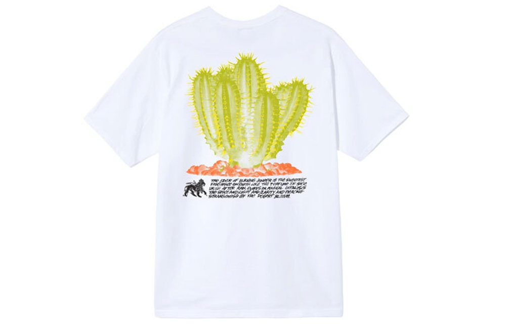Футболки Stussy Desert Bloom Tee T, 1904686