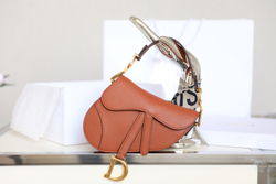 Christian Dior Saddle Bag 21 cm