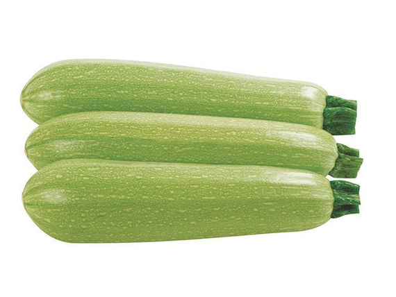 Ардендо 174 F1 семена кабачка (Enza Zaden / ALEXAGRO) культура – фото 6