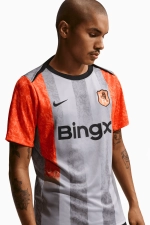 Футболка Nike Chelsea FC 25/26 Academy Pro - серый